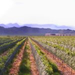 Bodegachalarioja01