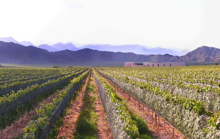 Bodegachalarioja01